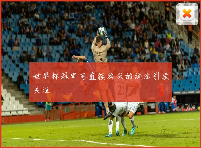 世界杯冠军可直接购买的说法引发关注