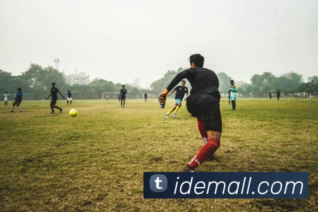 bsports官网登录入口APP 封面图